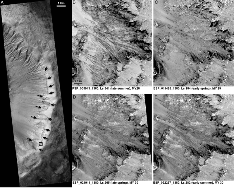 Illustration for article titled Scientists find evidence of liquid water on the surface of Mars